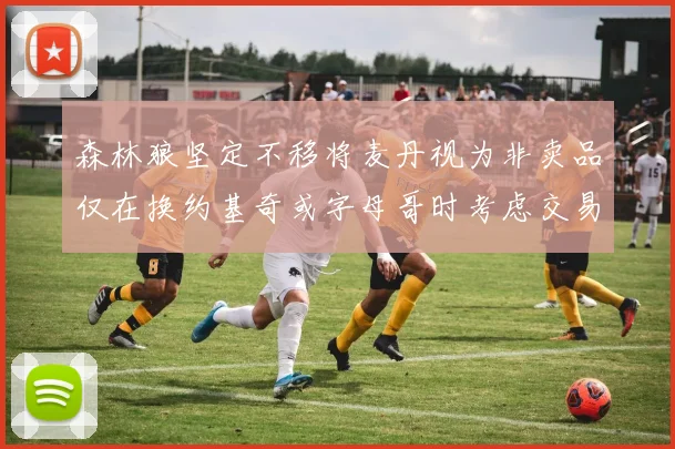 森林狼坚定不移将麦丹视为非卖品仅在换约基奇或字母哥时考虑交易