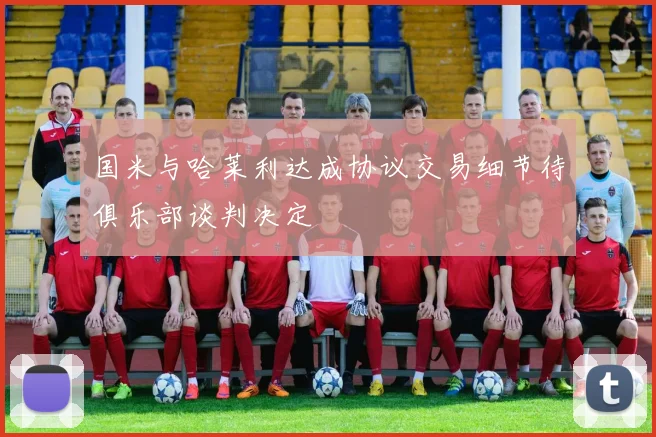 国米与哈莱利达成协议交易细节待俱乐部谈判决定